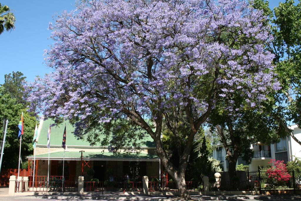 88 Baron Van Reede Guesthouse Oudtshoorn Exteriör bild